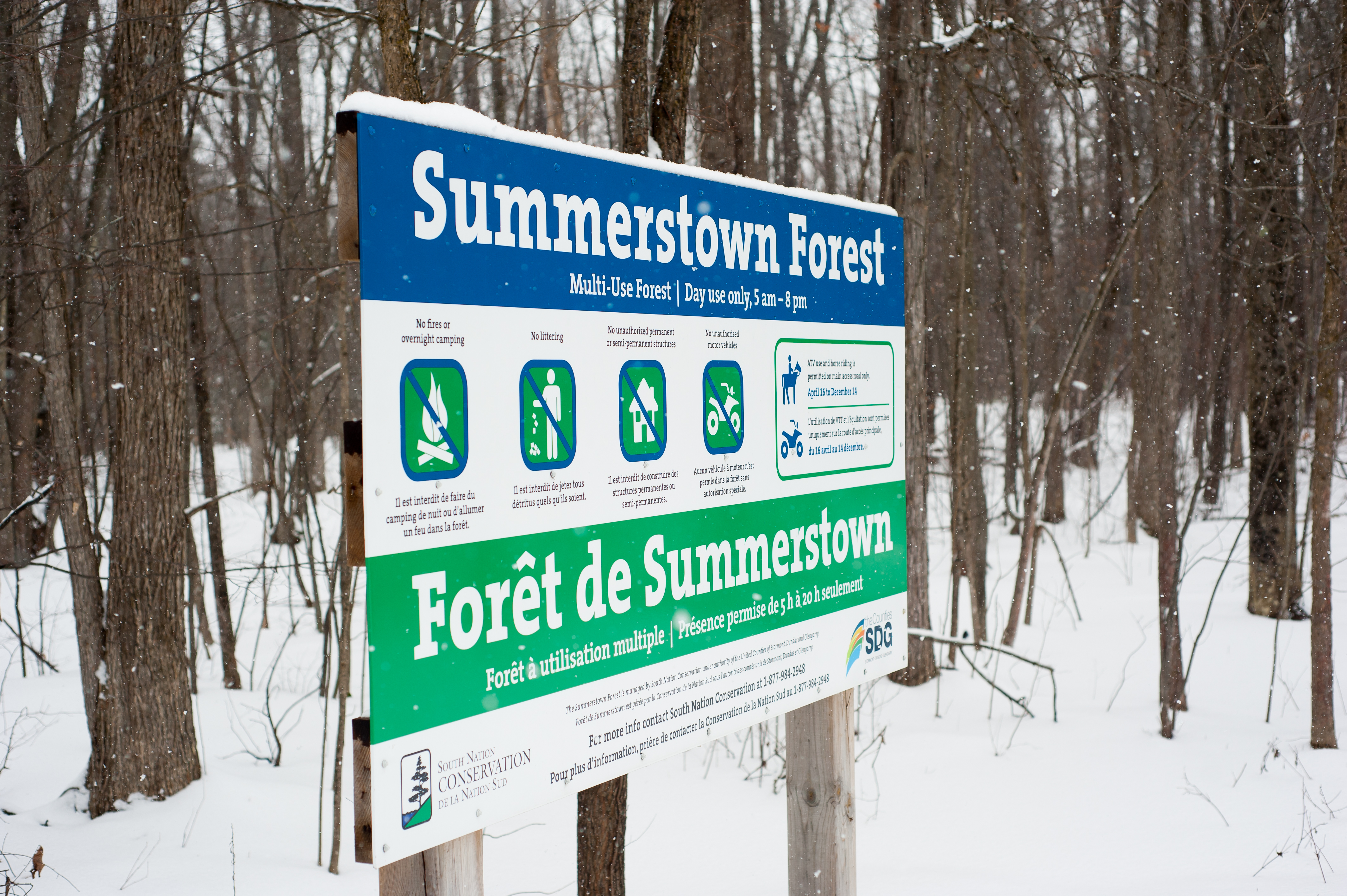 Image depicts a wintery scene with the Summerstown Forest sign visibly at the forefront of the image with blue and green imaging across the sign